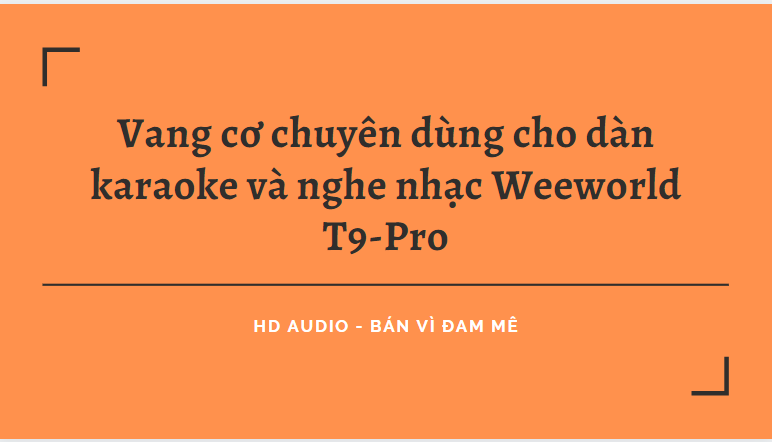 Vang cơ chuyên dùng cho dàn karaoke và nghe nhạc - Weeworld T9-Pro